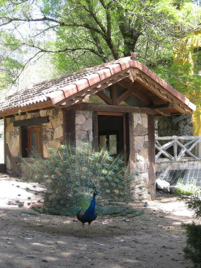 Hotel Rural Los Frutales Серседілья Екстер'єр фото